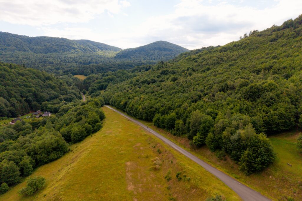WIdok z drona na drogę biegnącą przez las, w tle zabudowania