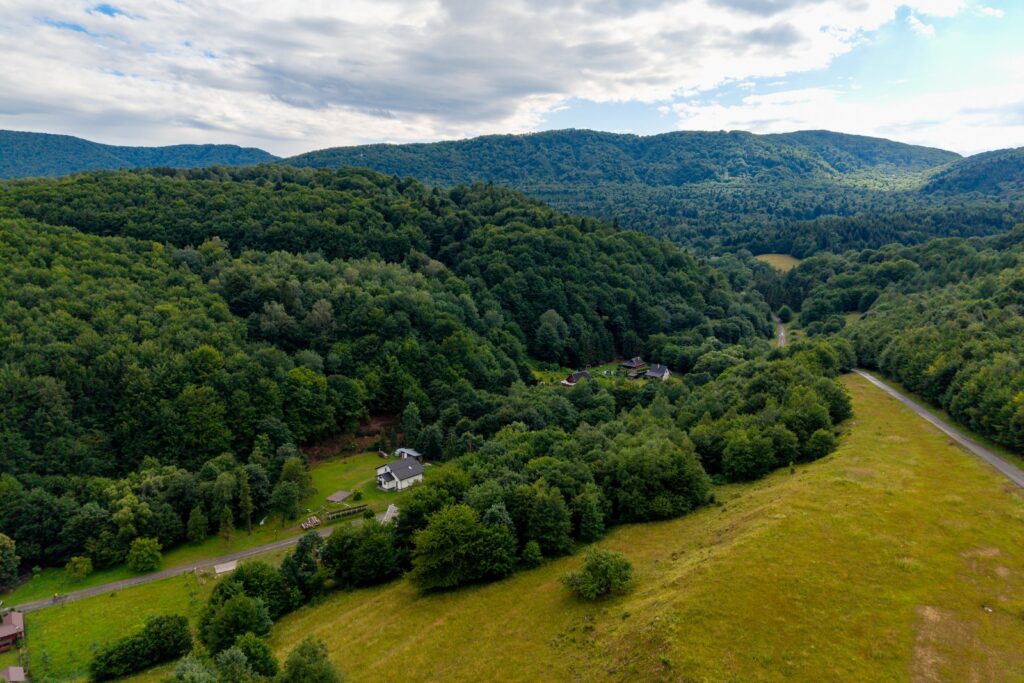 Widok z drona na las