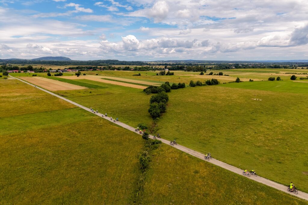 Widok z lotu ptaka na rowerzystów jadących asfaltową drogą przez rozległe łąki, w tle pasące się krowy.